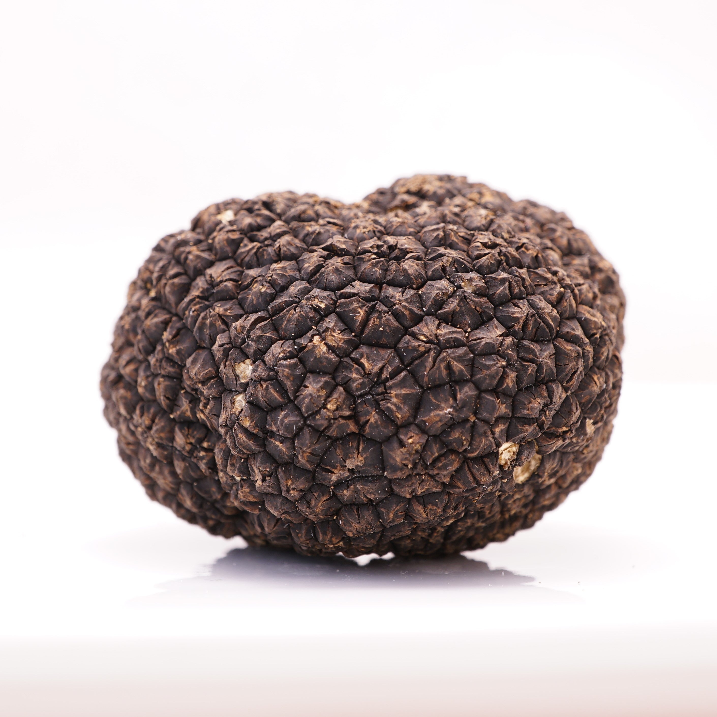Seasonal Fresh Truffles