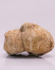 White Truffle